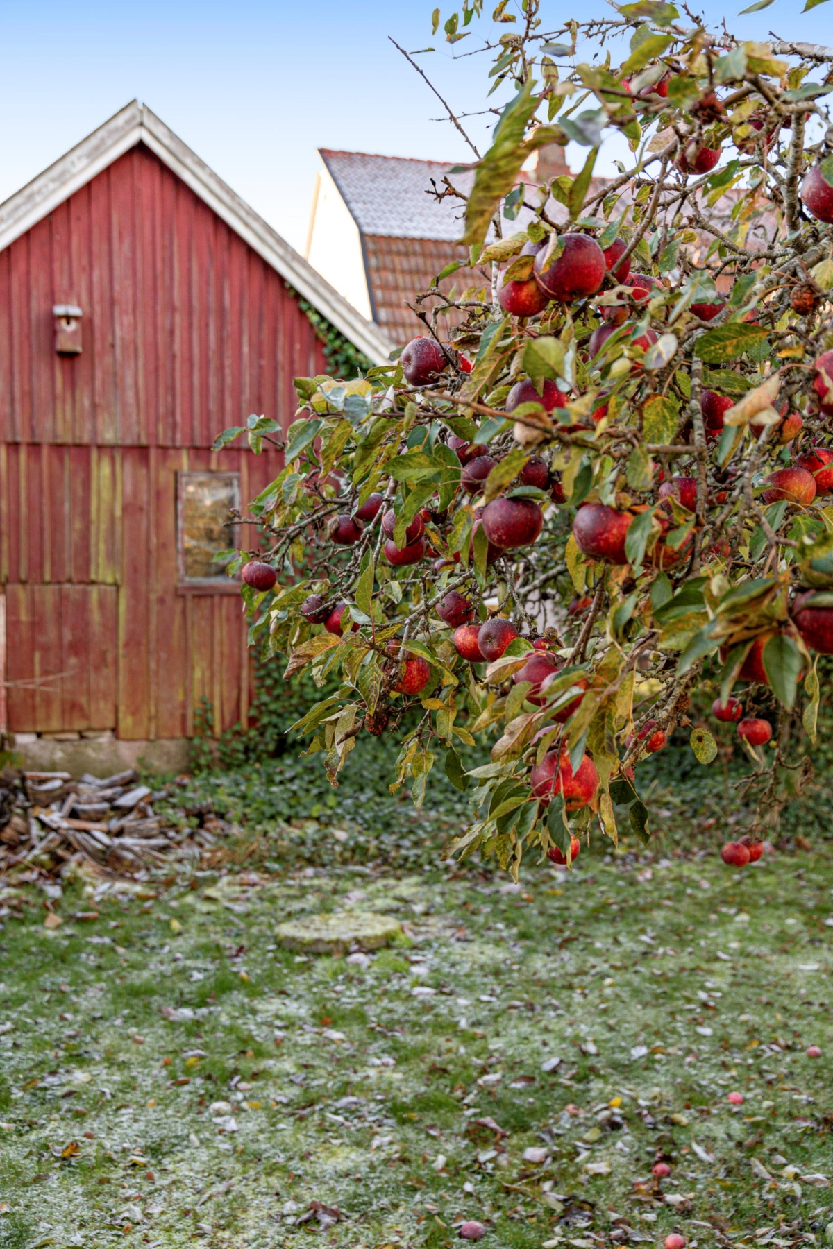 Tollarp, Kristianstad 