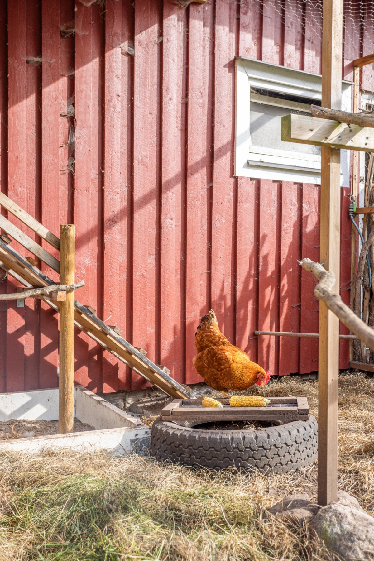 Vittskövle, Kristianstad 