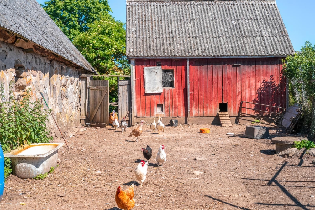 Oppmanna, Kristianstad 