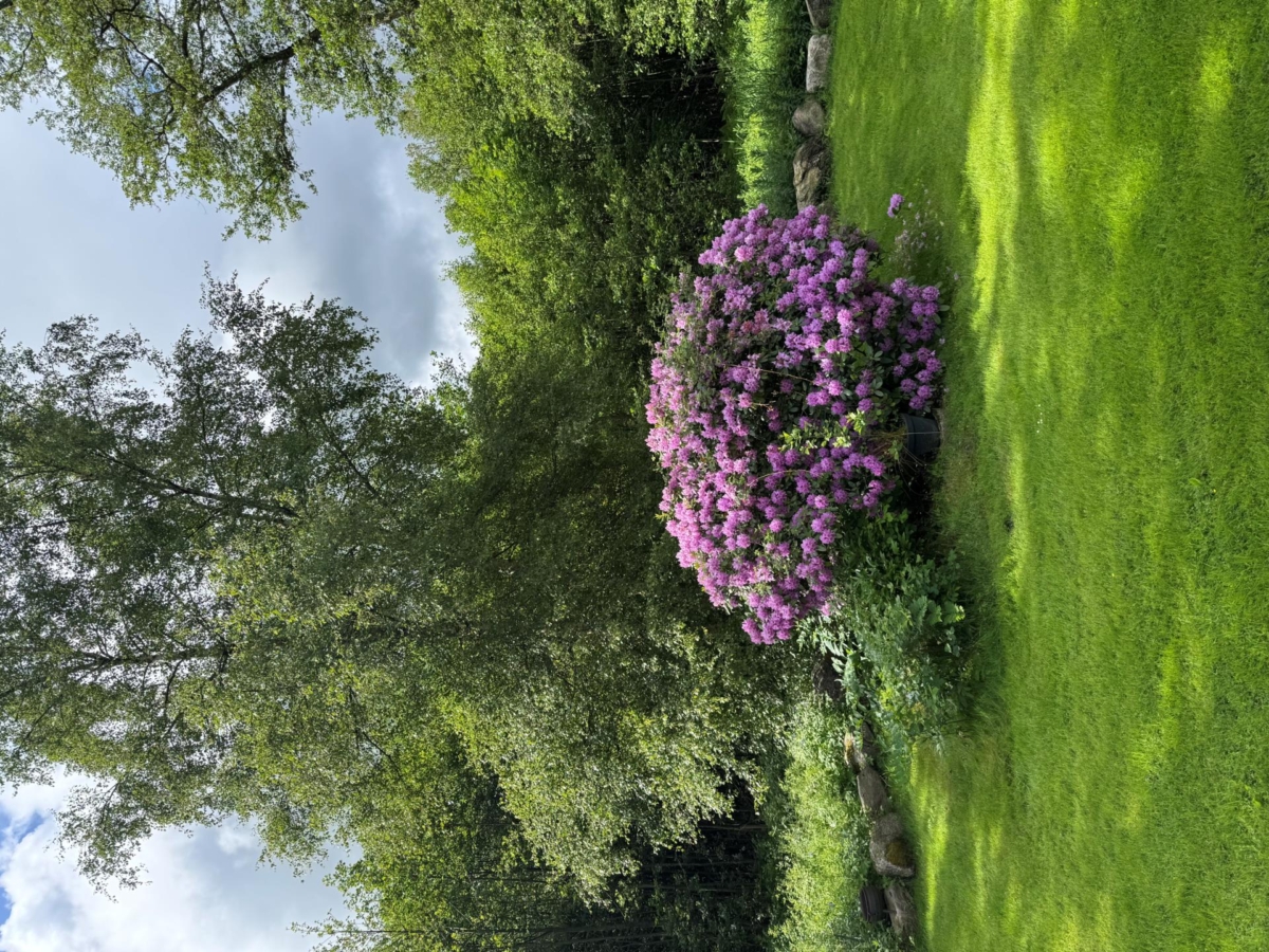 Årröd, Kristianstad