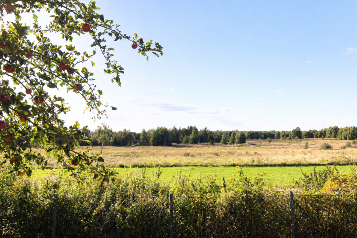 Hammar, Kristianstad